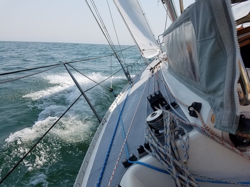 20190730_121334.jpg