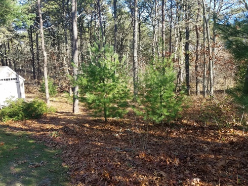 20201203_115954.jpg